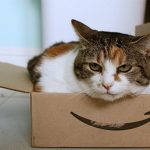 Prime Student(旧:Amazon Student)の魅力 TOEIC本は10%ポイント還元!